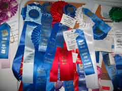 Awards
